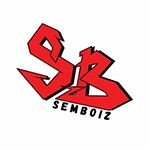 Team Logo